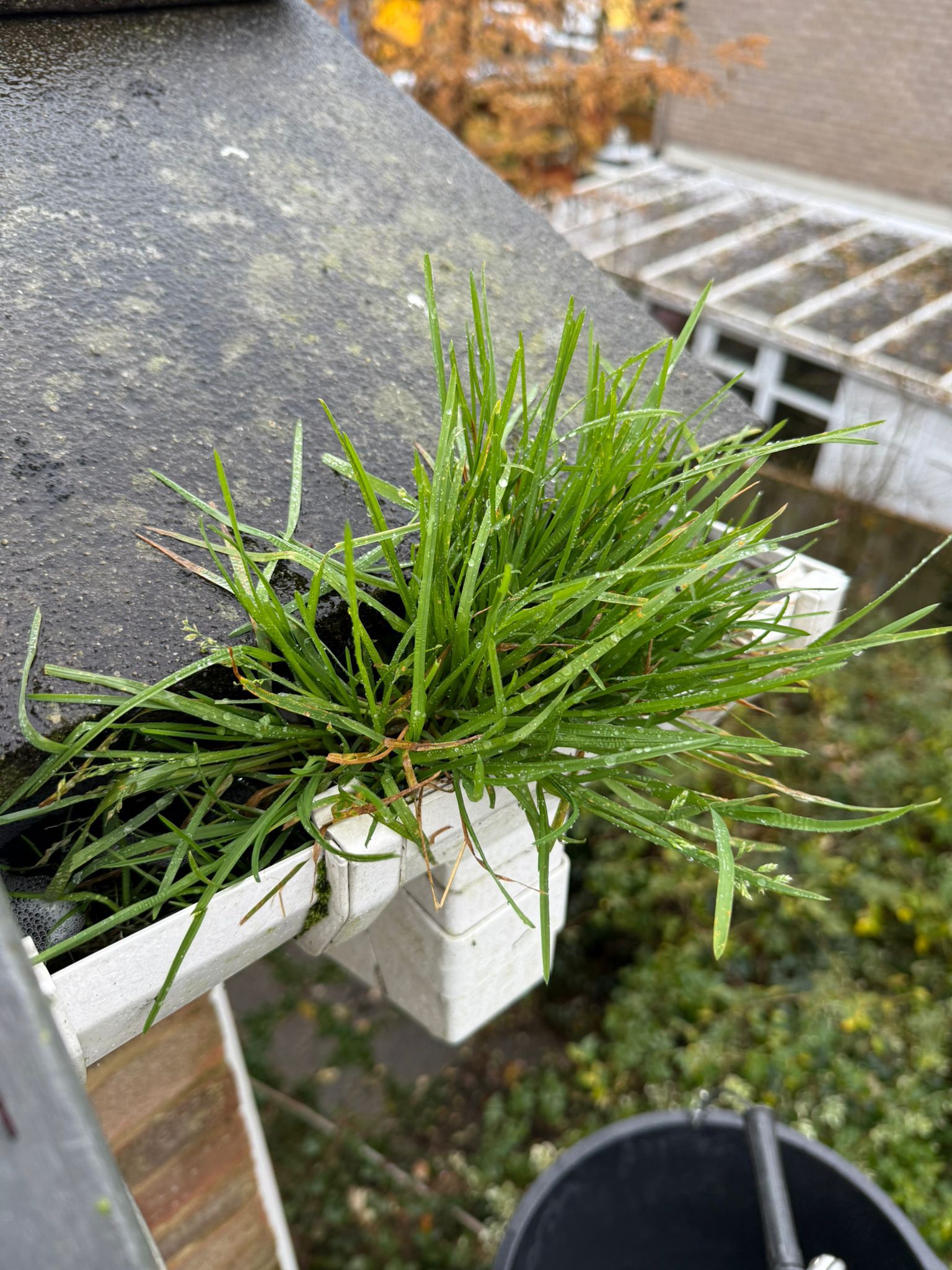 Blocked gutter downpipe in Earley